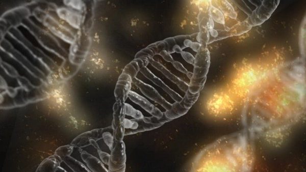 [DOSSIER THEMATIQUE] Les spécificités comptables des médecins libéraux